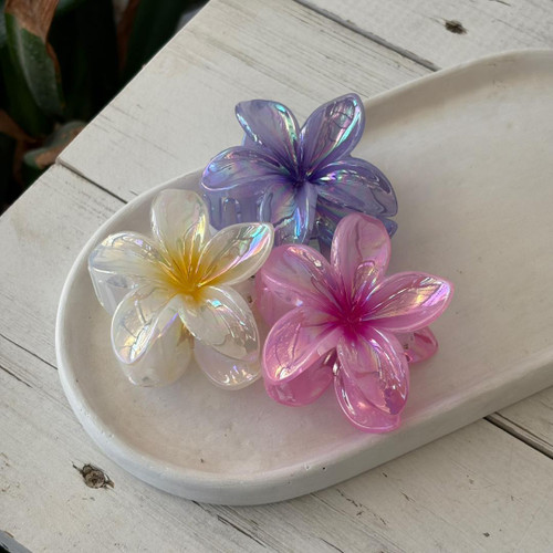 گیره پلومریا هولوگرامی